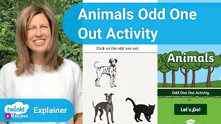 Animals Odd One Out Activity