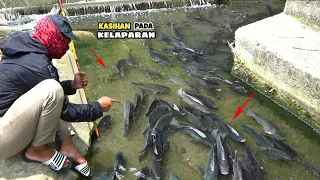 INI GILA!!! BERTAHUN TAHUN TAK TERJAMAH ORANG || FISHINGl