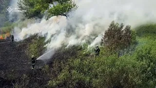 Сумська область: минулої доби рятувальники неодноразово ліквідовували загоряння сухої рослинності