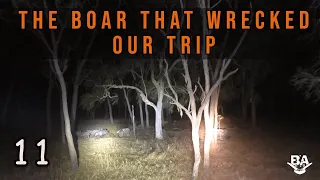 OFF GRID EP 11- The boar that wrecked our trip