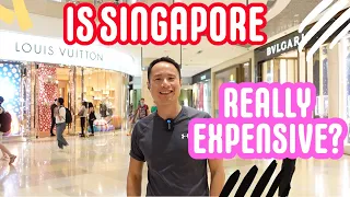 Singapore Edition 2023 Part 1 - The Real Cost of Living (Basic Needs)