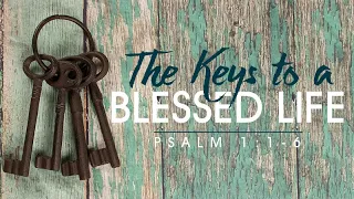 Psalm 1:1-6 | The Keys to a Blessed Life | Matthew Dodd