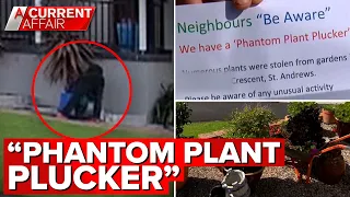 Neighbourhood helps police track down alleged plant thief | A Current Affair