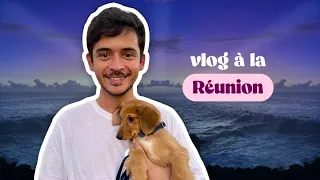 Episode 165 : Vlog la réunion, les animaux ps : ça va pleurnicher fort