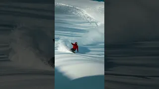 STRANDA Tree Surfer in deep Japow!