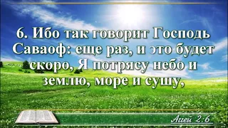 ВидеоБиблия Книга пророка Аггея читает Бондаренко