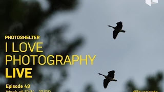 52 Reason to Love Photography | I Love Photography | Ep. 43 | Dec. 18, 2014