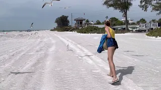 Feeding seagulls on the beach. March 22, 2021