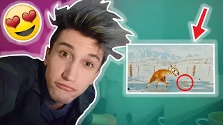 REAKCE NA NEJROZTOMILEJŠÍ ANIMACE NA YOUTUBE 😍 !! [ Tohle je moc ROZTOMILÉ !]