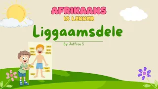 Liggaamsdele in Afrikaans