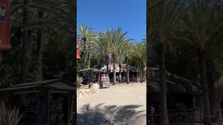 Arriving at San Diego Zoo Safari wild Animal 🦓 🦒  🦔 Park!😃