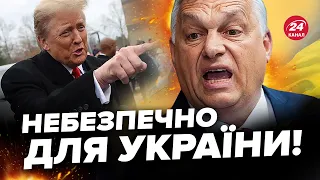 ОРБАН розкрив головний СЕКРЕТ Трампа! Угорщина зробила СТАВКУ: поганий сигнал для України