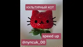 КУЛЬТУРНЫЙ КОТ - speed up