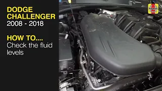 How to Check the fluid levels on the Dodge Challenger 2008-2018