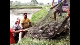 CATCHING FRESHWATER EELS For My NEW POND! Village fishing Video. Catching Freshwater Eels New Pond I