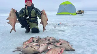 ЭТИ МОНСТРЫ НЕ ЛЕЗУТ В 180 ЛУНКУ!!! Ночь на льду, в палатке с собакой!