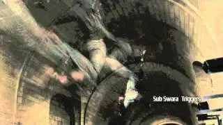 Sub Swara - "Bird of Paradise" feat. Stuart Bogie & Erico Biondo