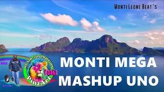 🟢 MONTI 🍀 MASHUP UNO ® Paolo Monti 💥 MEGAMIX #live #song #funny #music TonKa LionPride ✅ MLB©PinzArt