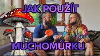 JAK POUŽÍT MUCHOMŮRKU? 🍄