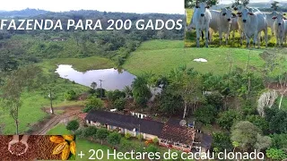 Ilhéus - BA. Fazenda com 124 Hectares para 200 gados + 20 ha de cacau. R$ 3.000.000,