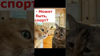 Сложный выбор #рекомендации#рек#youtubeshorts#shorts#тренды#приколы #котики