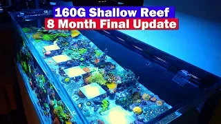 160g Shallow Reef Tank Update - 8 Months -  2019 Final Update ?