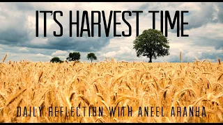 Daily Reflection with Aneel Aranha | Matthew 9:35-10:1, 5-8 | December 7, 2019