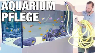 Wasserwechsel und Aquarium Entwicklung / Professionelle Anlagen & Pflege Tour