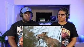 Kidd and Cee Reacts To How a Tiny CatDog Took Over the World (Casual Geographic)