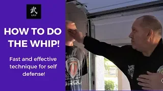 How To Perform The Whip - Fast and Effective Self Defense Technique.