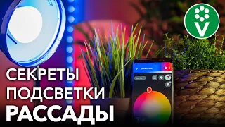 ВОТ ПОЧЕМУ ВАМ НЕ НУЖНЫ ФИТОЛАМПЫ ДЛЯ ДОСВЕЧИВАНИЯ РАССАДЫ! Эффективно и дешево подсвечиваем рассаду