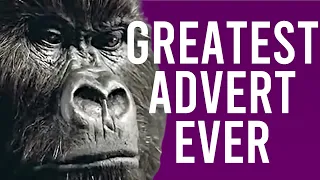 Cadburys Gorilla Advert - The Story Behind The Greatest Advert Of All Time! In The Air Tonight