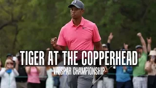 Tiger Woods In Contention | 3rd Round Valspar Championship