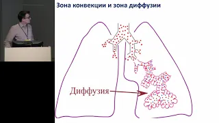 Патфизиология газообмена при ХОБЛ Кулаков В Ф 2019