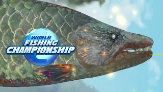 PREDATOR GOLIATH TIGER FISH YANGTZE RIVER WORLD FISHING CHAMPIONSHIP 釣魚大亨 Fishing Strike 피싱스트라이크