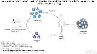 Lecture 10c: Cancer Immunotherapy