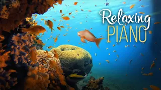 Stunning Underwater Footage in 4K - Amazing Piano Music for Stress Relief by Destiny