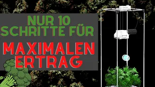 Wie baue ich Zuhause am einfachsten an ? 10 Schritten für garantierten Erfolg