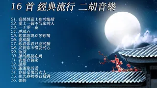 16首 經典流行 二胡音樂 Best Erhu Music