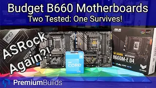 Beware Budget B660 Boards! Testing the ASUS TUF B660M-E and ASROCK B660M PRO RS