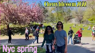 NYC Spring Walk 2022 | Cherry Blossom In New York City Central Park 2022