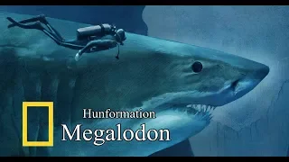 Hunformation | Megalodon (HD)