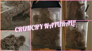 Vacuuming Lots Of Dry Soil!! | In-Law Series EP 4