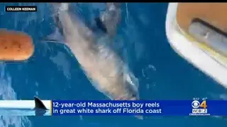 Massachusetts boy reels in great white shark off Florida coast