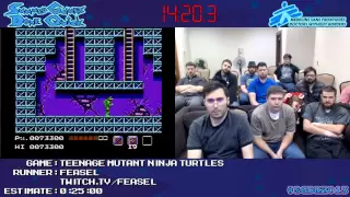 Teenage Mutant Ninja Turtles Speed Run in 0:26:21 by feasel #SGDQ 2013 [NES]