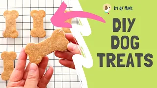 DIY Peanut Butter Dog Treats