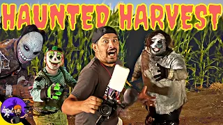 The Haunted Harvest 2022 in Chino, CA |CALIFORNIA’s MOST SCARIEST HAUNTED CORN MAZE!