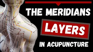 The Meridians Layers in Acupuncture Theory