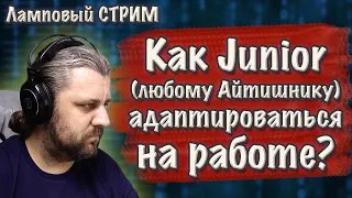 Как пройти испытательный срок на работе на удаленке? DevOps, и др. Айтишник.  Войти в АйТи.