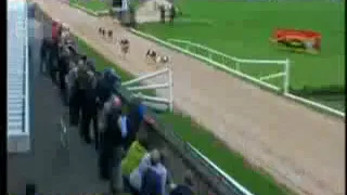 IGB - The Bet With The Tote A5  26/08/2018 Race 2 - Mullingar